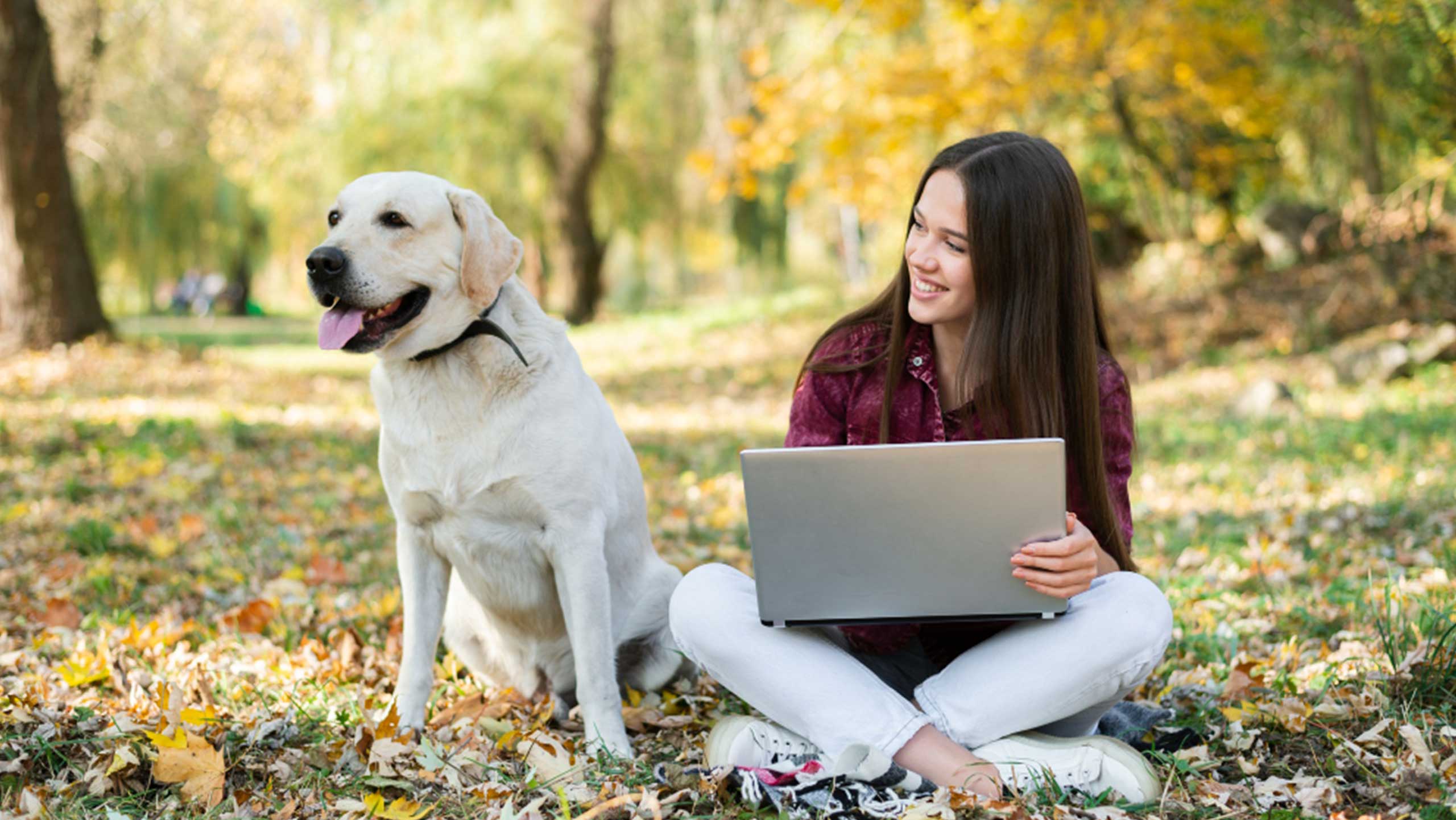 15 Best Dogs For College Students To Balance Pet Care & Studies