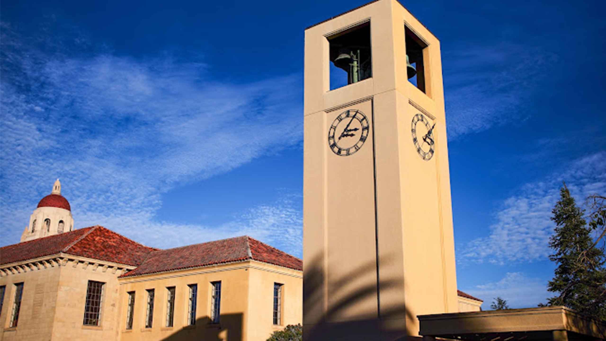 Explore The 24 Best Non Ivy League Schools in the United States