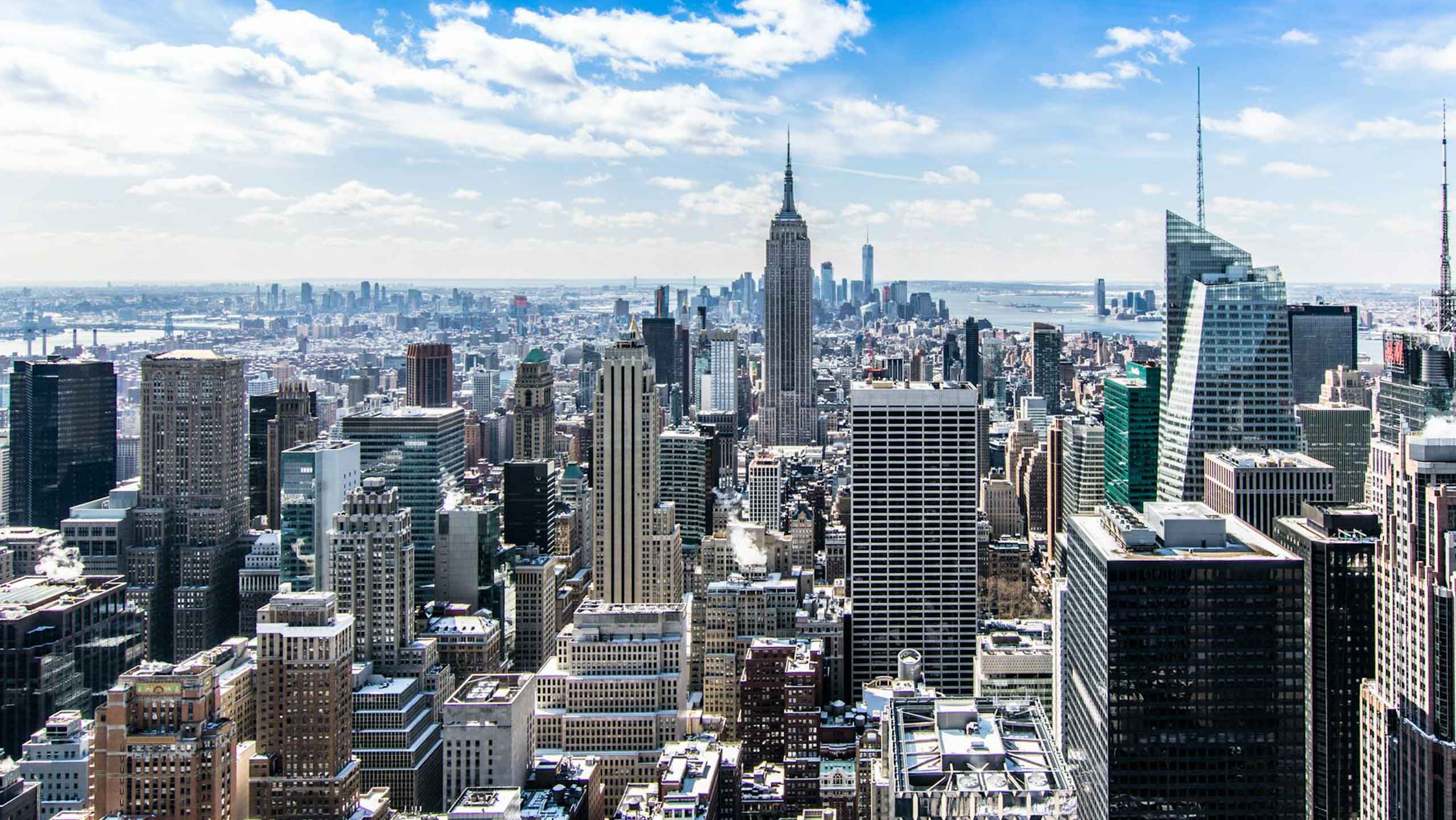 10 Best Universities In New York For International Students To Achieve Academic Excellence