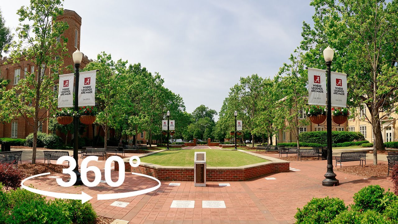 10 Best Colleges Without Supplemental Essays for Easy Applications